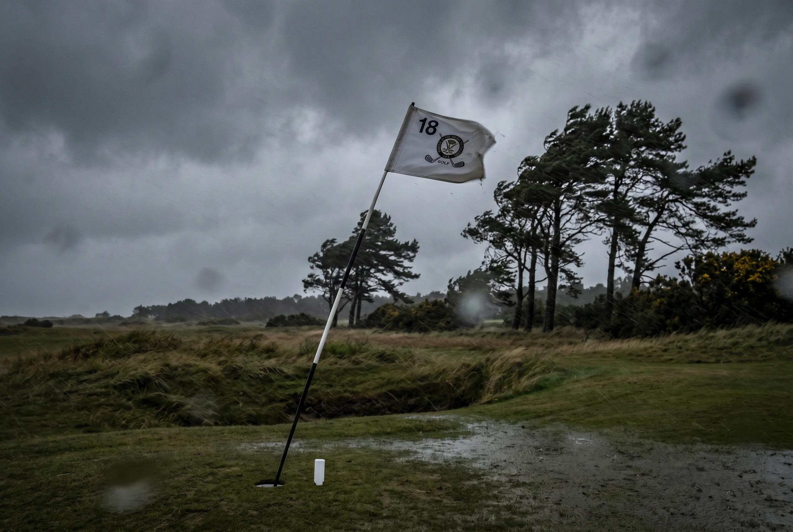 Bandera de un hoyo de golf ondeando con fuerza bajo cielo nublado y viento visible en los árboles